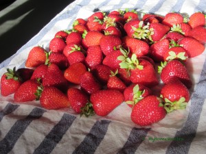 Fresh strawberries
