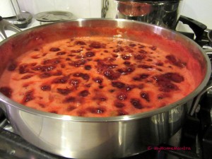 Strawberry Jam 4