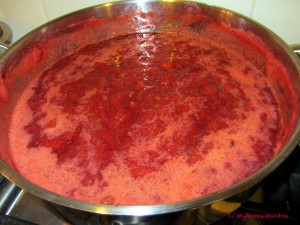 Strawberry Jam 5