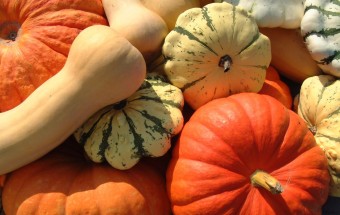 pumpkins-squash